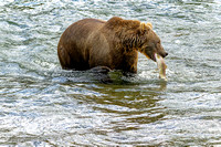 Brown Bear Brooks Falls, Alaska
