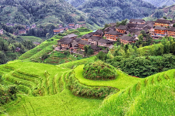 Longsheng Rice Fields 4 China