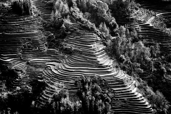 Rce Terraces Yunnan China 5