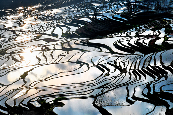 Rice Terraces Yunnan China 1
