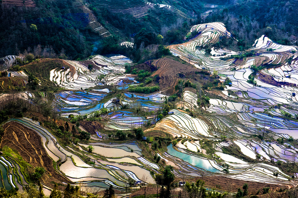 Rice Terraces Yunnan China 3