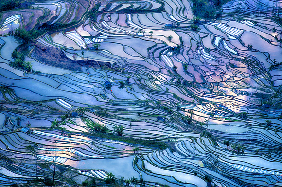 Rice Terraces Yunnan China 6
