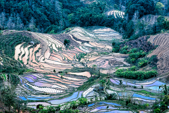 Rice Terraces Yunnan China 7