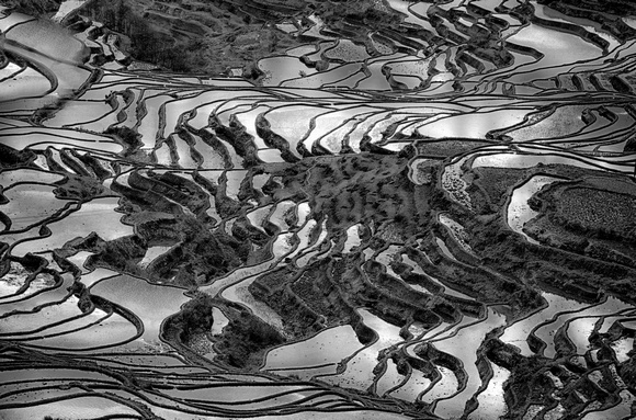Rice Terraces Yunnan China 9