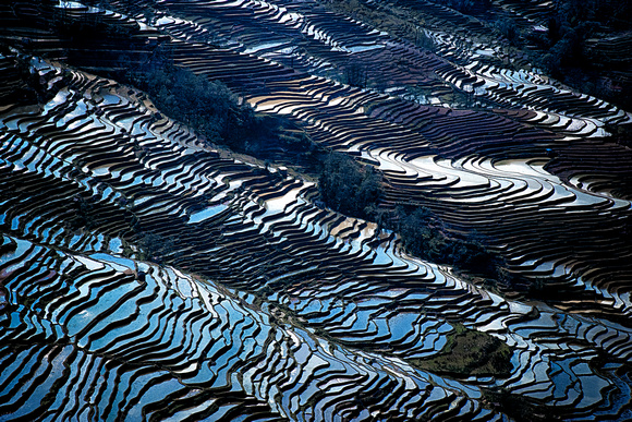 Rice Terraces Yunnan China 10