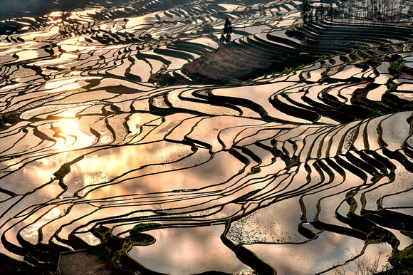 Yunnan China Rice Fields 14